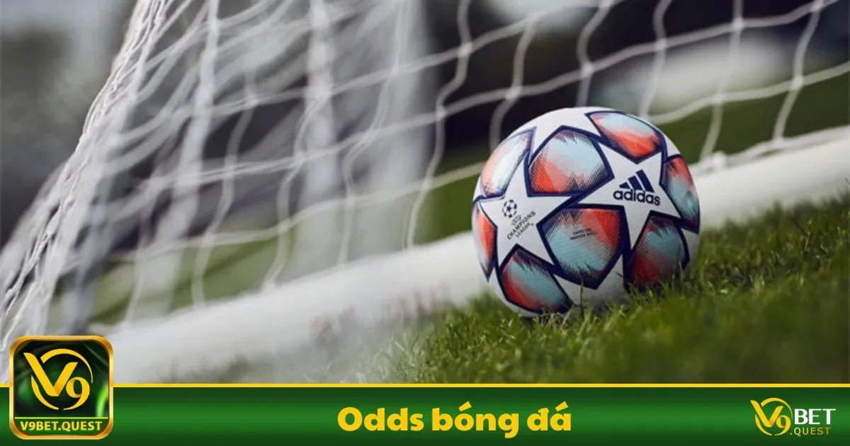 Odds Bóng Đá V9Bet – Công Cụ Phân Tích Trận Đấu 1 Odds Bóng Đá Là Gì? Những Điều Cơ Bản Người Chơi Cần Biết